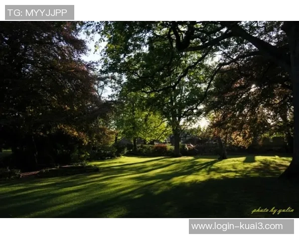 探索布莱克尼的魅力与历史深度揭示这座城市的独特风情与文化底蕴